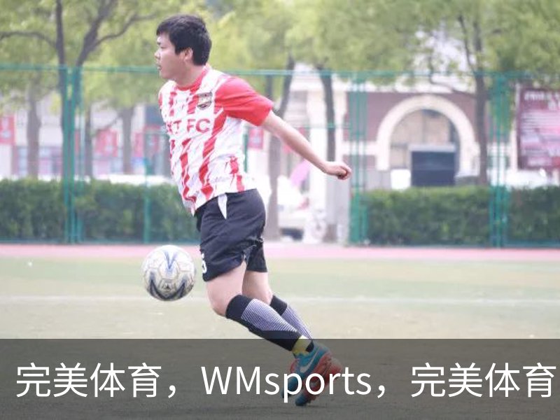 了解完美体育，WMsports，完美体育官方，完美体育平台，完美体育下载